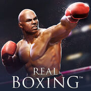 Real Boxing®